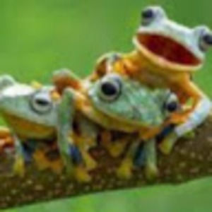 Meet your Posher, Margot